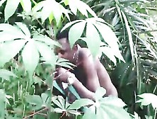 I Fucked My King Ex-Wife At The Cassava Plantation With Mask On
