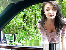 Beautiful Hitchhiking Eurobabe Blows Driver Then Gets Fucked