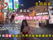 [付费] 全网独家！上海顶级女神尤物身材户外露出被调教啪啪『狠货高科技看简阶』