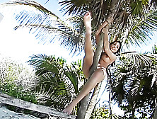 Brunette Clings Onto Plam Trees Naked As She Shows Her Sexy Body!