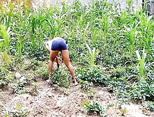 Ass Bang In A Meadow With One Of My College Hunk In My Plantain Farm