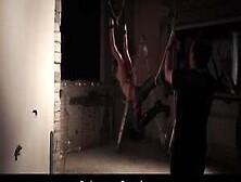 Full Day Exploatation Of A Slave Part 2 (Julie Skyhigh)