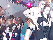 Erotic Party Goes Wild As The Sexy Chicks Become More And More Horny