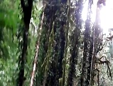 Horny Couple Fucking In The Woods