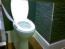 Toilet Piss Spy (1)