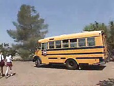 Teeny Schoolbus Lucky Day By Troc