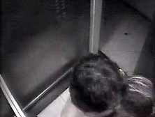 Amateur Couple Sex In Elevator