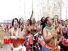 Long Titties Topless South Black Zulu Girls During Reed Rance