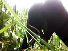 Native Black Sex Toy Masturbating Inside The Jungle