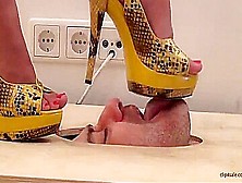 Footdomina Gabriella Face Trampling In Fashion High Heels