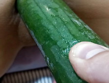 This Slut Deserves To Have Everything Put Into Her,  Starting With A Big Cucumber