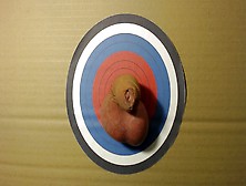 Cock Used As Dartboard