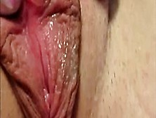 Meaty Pussy Lips Pleased With A Vibrator
