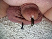 Slug Inside Cock
