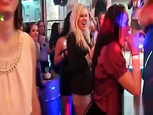 Hot Chicks Get Absolutely Wild And Undressed At Hardcore Par