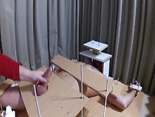 Amateur Femdom Cbt And Handjob With Post Orgasm Torture