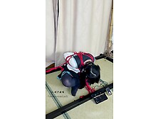 Cd Cosplay Heavy Restrained