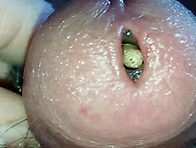 Maggots Close Up View