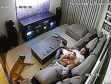 Ipcam Rich German Couple Fucks On The Sofa
