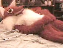 Sexy Foxmascot