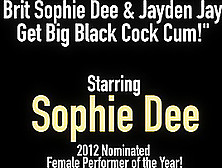 Hot Brit Sophie Dee & Jayden Jaymes Get Big Black Cock Cum!