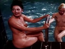 Karin Lorson In Vild På Sex (1974)