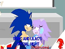Stick Nodes Hentai: Sonic And Lilac's Special Night (And Knuckles)