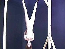 Inverted Suspension For Blowjob