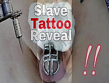 Femdom Slave Tattoo Reveal Flr Real Lovers Marriage Male Submissive Dominatrix Wifey Domme Milf Stepmom