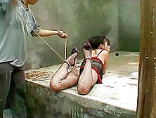 Thai Bondage Yaner