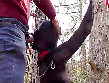 Tied To A Tree On A Sexy Outfit Masked And Outdoor Deepthroat With No Mercy