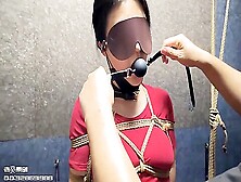 Astonishing Adult Video Slave Cage Try To Watch For,  Watch It