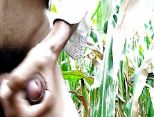 Outdoor Masturbation,  Outdoor Sex,  Indian Masturbation