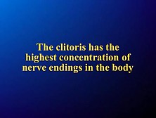 Clitoris Stimulation