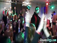 Clothed Sluts Suck Dick At Real Party