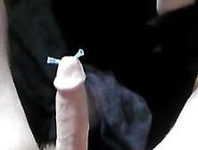 Cbt Needle Dick And Balls