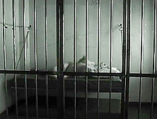 Slavegirl Locked In Prison Cell Over Night 2 [Bitchslapped]