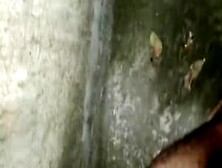 India Porn Hd Video Homemade Love Sex Rom