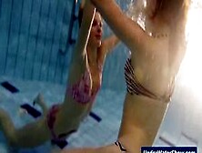 Horny Girls Strip Eachother In The Pool