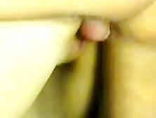 Slender Dark Brown Love Anal Sex In Webcam