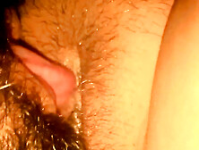 Lick My Pussy And My Aas Liking