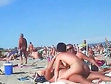 Подборка Публичного Секса На Нудистском Пляже