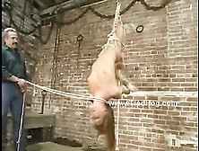 Cute Blonde Hanged Upside Down With Legs Tied With Hands And Tor