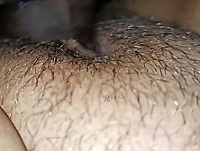 Homemade Lover Sex Video