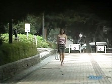 Delicious Asian Chick In A Public Sharking Video