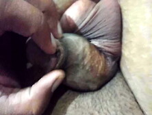 This Is The Big Pakistani Hammer Cock Pump Video