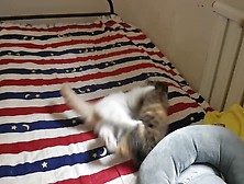 Interracial Teen Intense Catball Pussy Fight