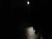 Woman Vibrators Cunt Into Moonlight