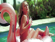 Aislin - Pink Flamingo