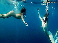 Underwater In The Sea Young Babes Swimming Nude